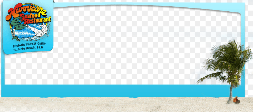 Beach, Tree, Summer, Plant, Advertisement Free Png