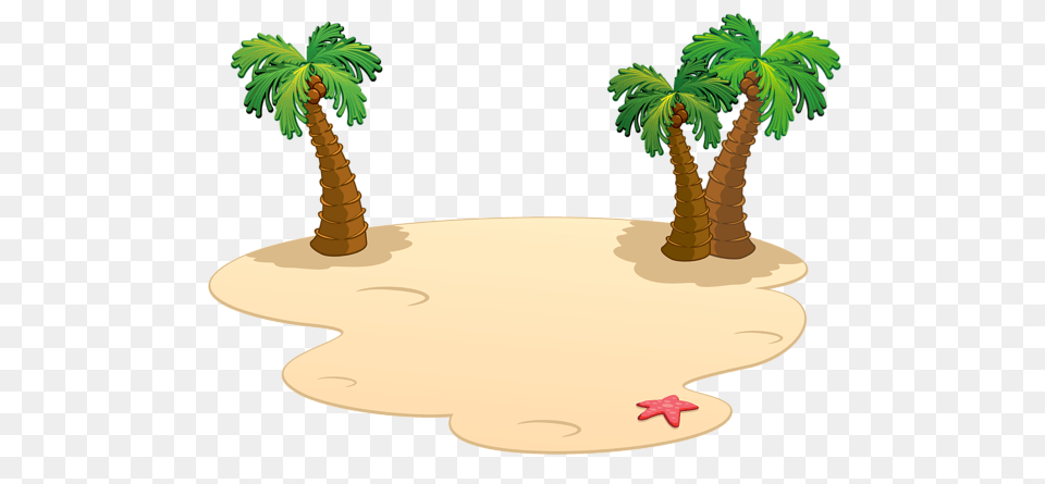 Beach, Palm Tree, Tree, Plant, Vegetation Png Image
