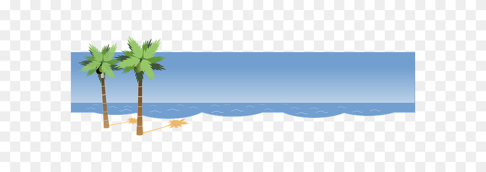 Beach Water, Sea, Tree, Plant Png Image