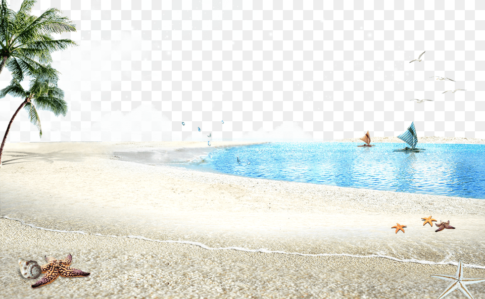 Beach, Summer, Tropical, Nature, Outdoors Free Transparent Png
