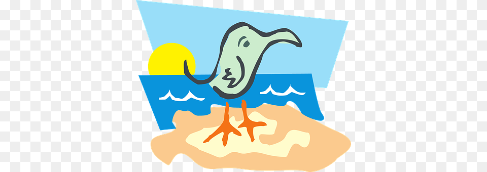 Beach Animal, Beak, Bird, Leisure Activities Free Png Download