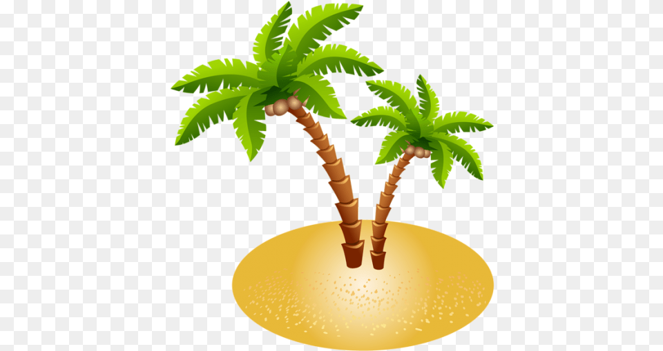 Beach 49 Transparent Background Free Download Transparent Background Palm Tree Island, Leaf, Palm Tree, Plant, Chandelier Png