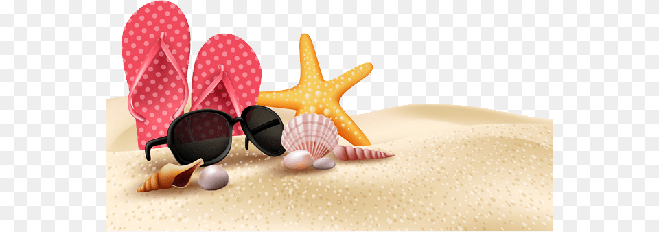 Beach, Accessories, Sunglasses, Animal, Sea Life Png