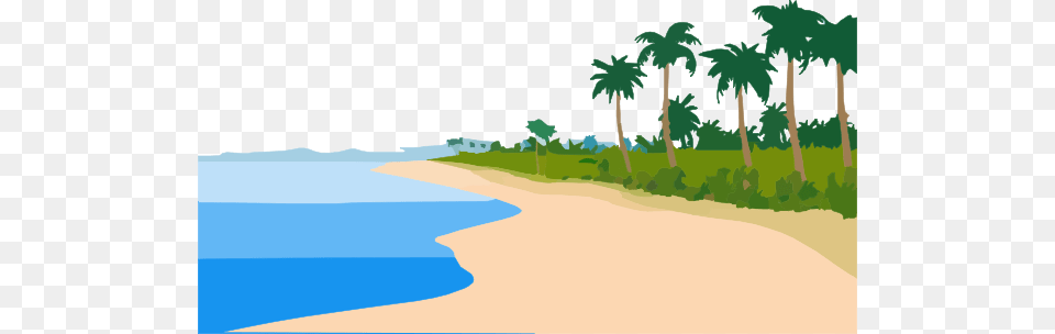 Beach, Water, Tree, Sea, Plant Free Transparent Png