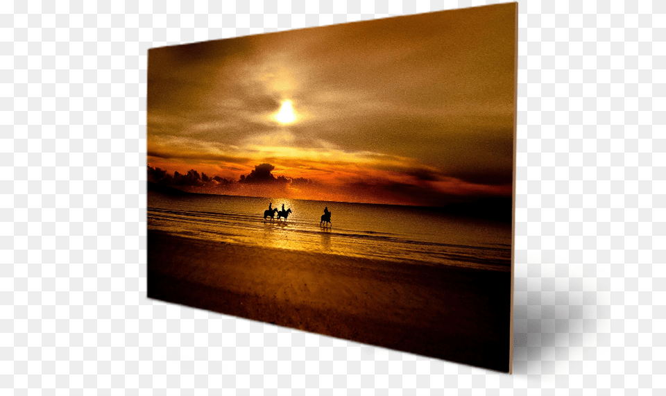 Beach Amp People With Sunset Caballos En La Playa Atardecer, Water, Sea, Sky, Outdoors Png