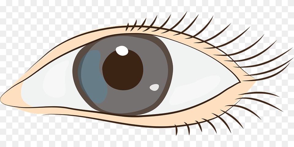 Beach Clip Art, Contact Lens, Drawing Free Transparent Png