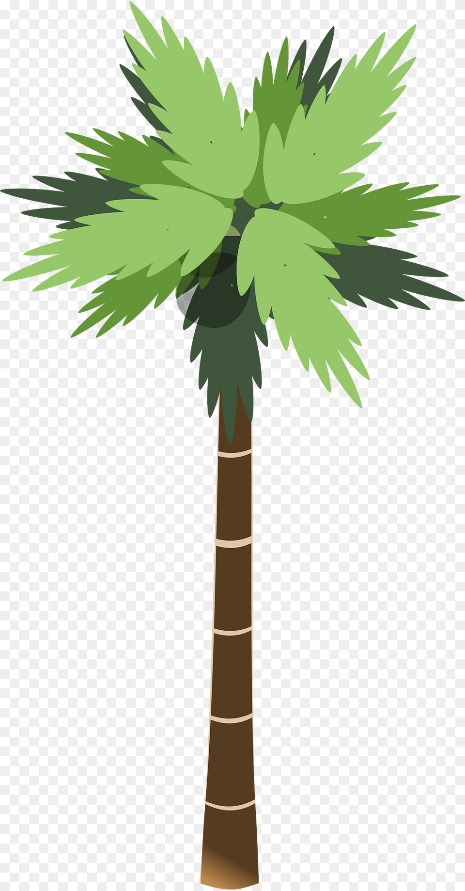 Beach Clipart, Palm Tree, Plant, Tree, Cross Png Image