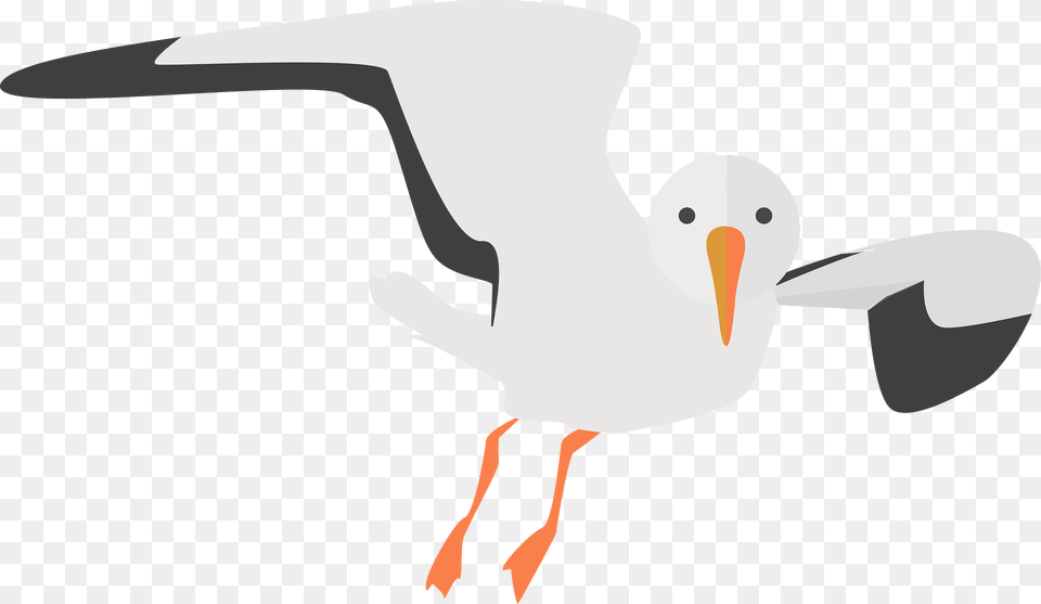 Beach Clipart, Animal, Beak, Bird, Seagull Png Image