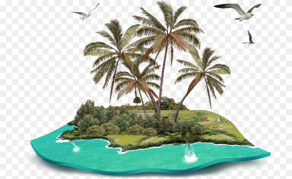 Beach Clipart Coconut Gratis Island Tree Decoration Transparent Tropical Island, Water, Shoreline, Sea, Outdoors Png Image