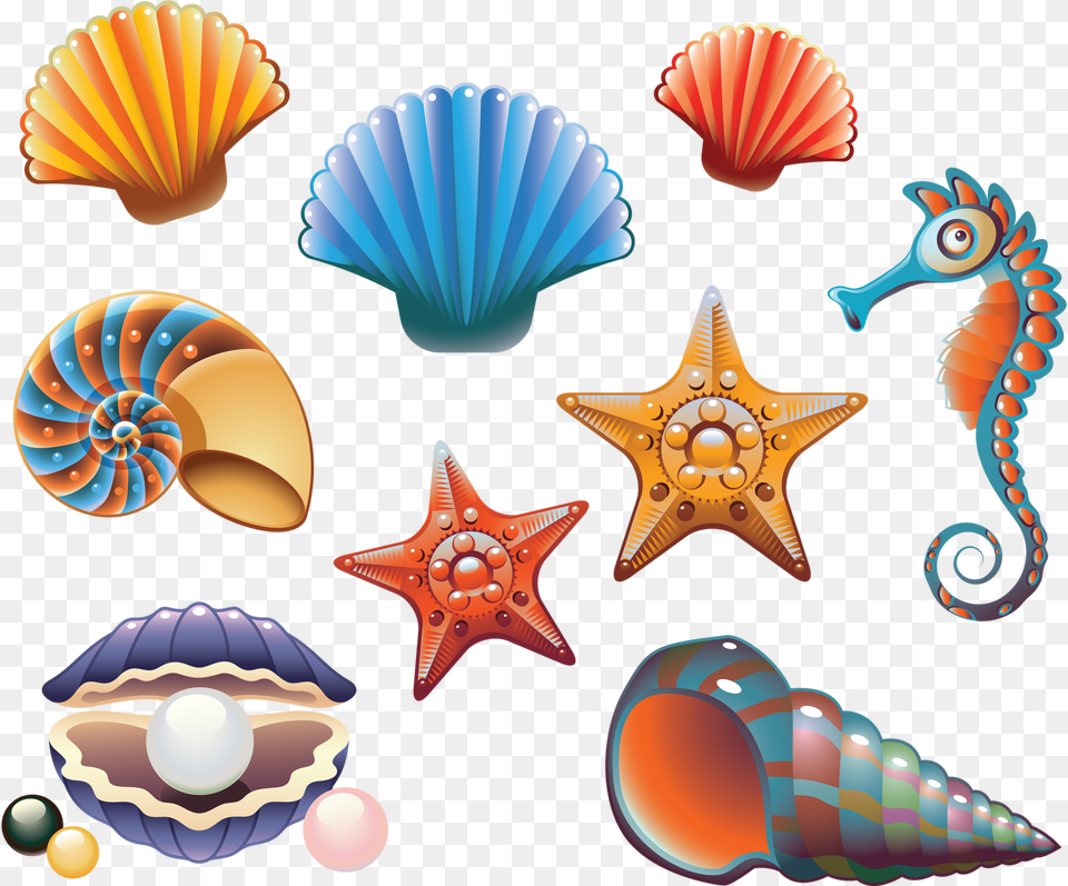 Beach Clipart Printable Clam Shell Clipart, Animal, Invertebrate, Sea Life, Seashell Free Png Download