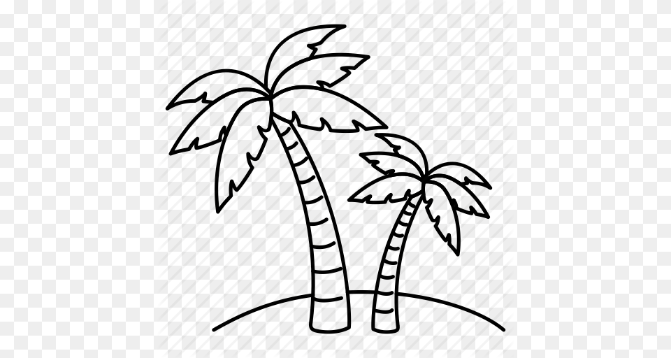 Beach Coconut Palm Tree Palms Sea Summer Tree Icon, Art, Acrobatic, Person, Pole Vault Png
