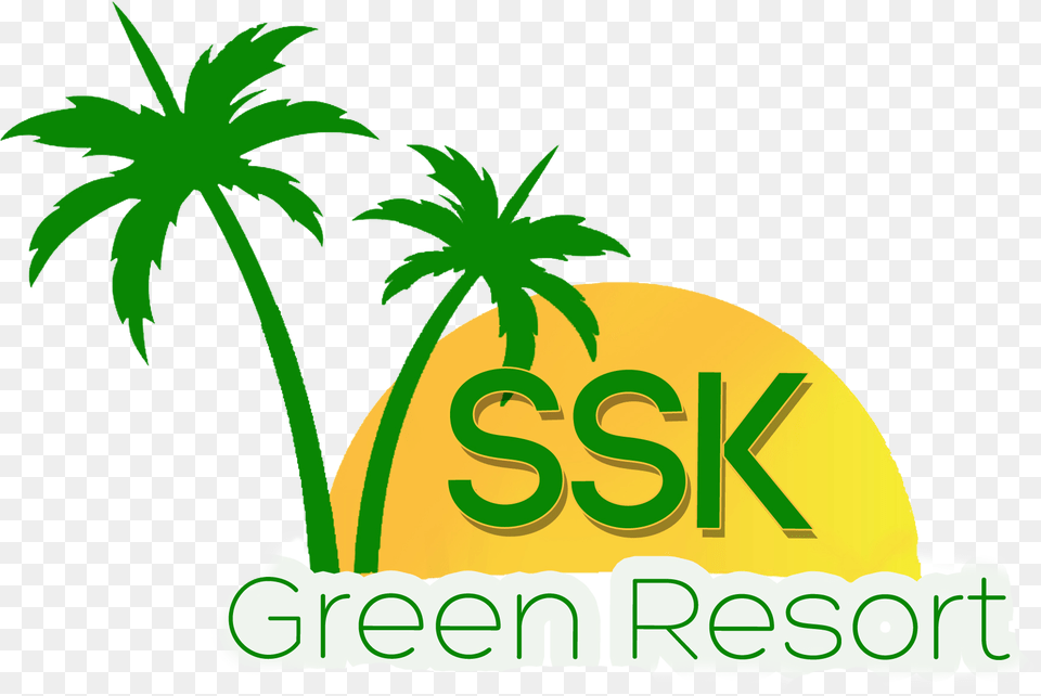 Beach Coconut Tree Vector Cartoon Jingfm Palm Tree Beach Vector, Green, Plant, Leaf, Food Free Transparent Png