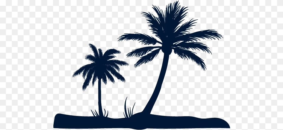 Beach Fundal Euclidean Vector Coconut Tree Silhouette Coconut Tree Beach Vector, Plant, Palm Tree, Tropical, Nature Png