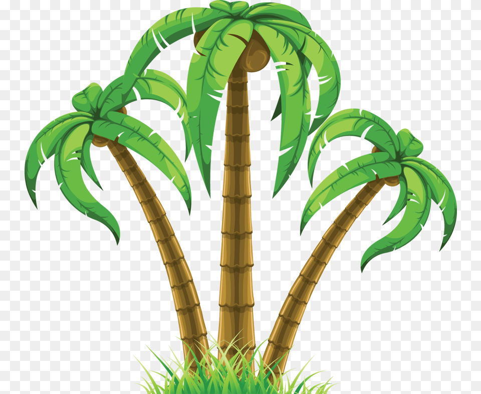 Beach Palm Tree Clip Art, Vegetation, Rainforest, Plant, Outdoors Free Transparent Png