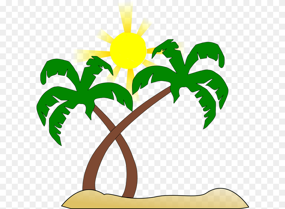 Beach Palm Tree Sun Green Brown Yellow Heat Beach Clipart No Background, Flower, Plant, Vegetation, Palm Tree Png Image