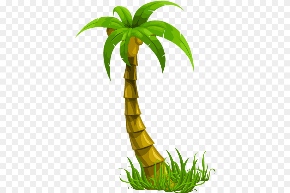 Beach Party, Palm Tree, Plant, Tree Png