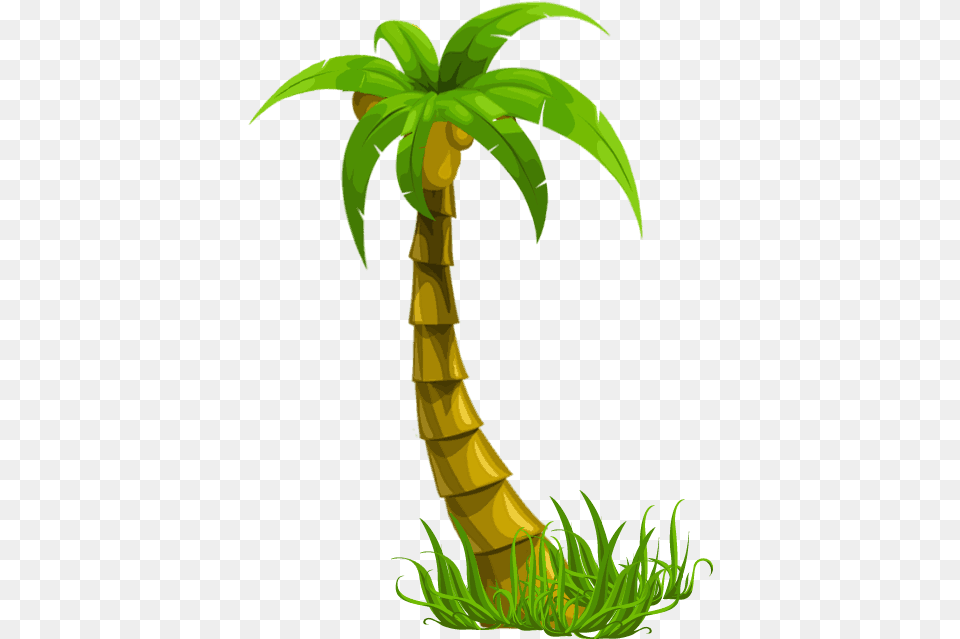 Beach Party Imagens Beach Party, Palm Tree, Plant, Tree Png
