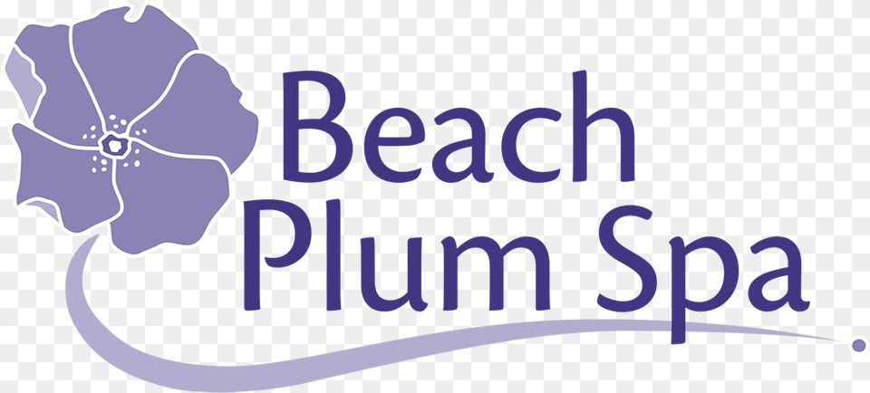 Beach Plum Spa Website Beach Plum Spa, Anther, Flower, Plant, Anemone Free Transparent Png