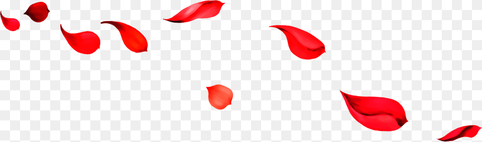 Beach Red Falling Petals Hd Wallpaper Amp Portable Network Graphics, Logo, Symbol Free Png