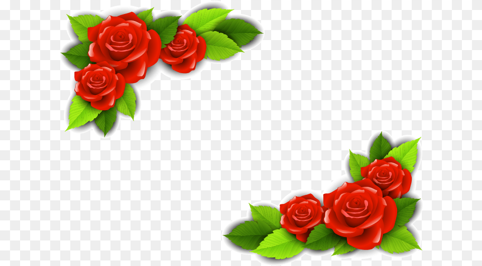 Beach Rose Flower Adobe Illustrator Rose Flower Pic Vector, Plant, Art, Graphics, Floral Design Free Transparent Png