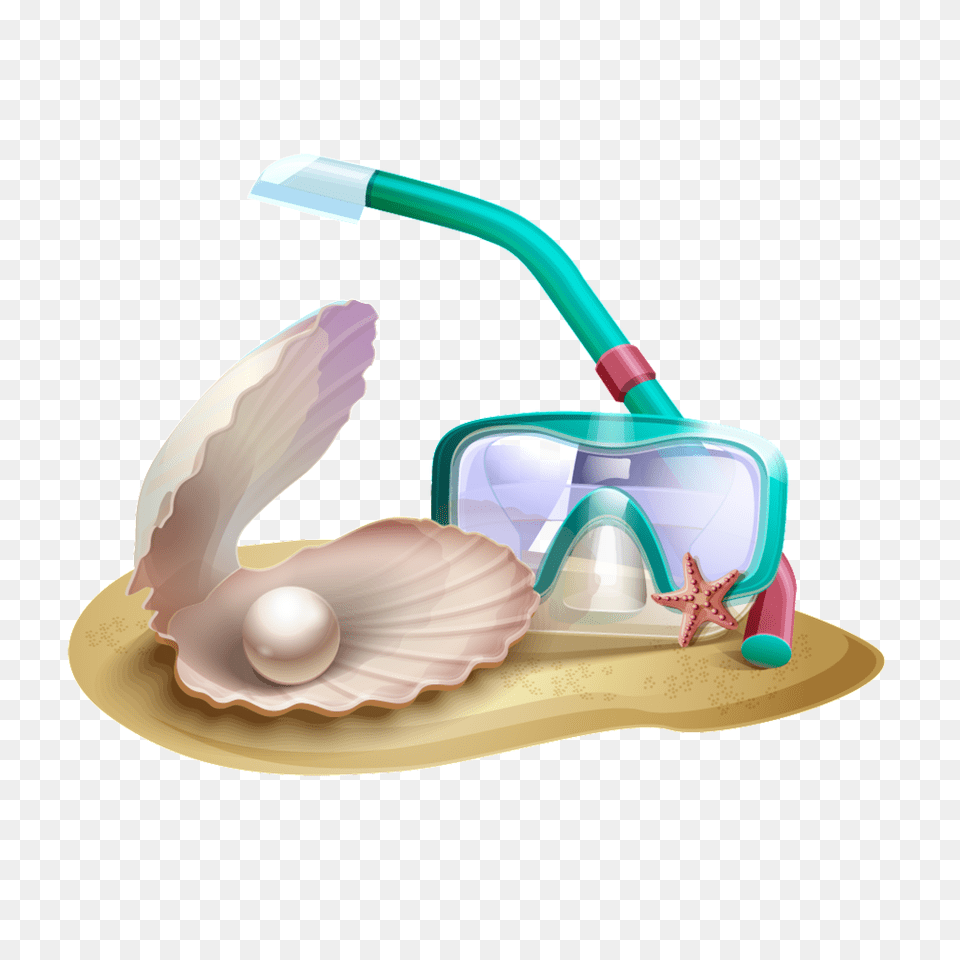 Beach Shell Transparent Vector, Smoke Pipe, Accessories, Egg, Food Free Png Download