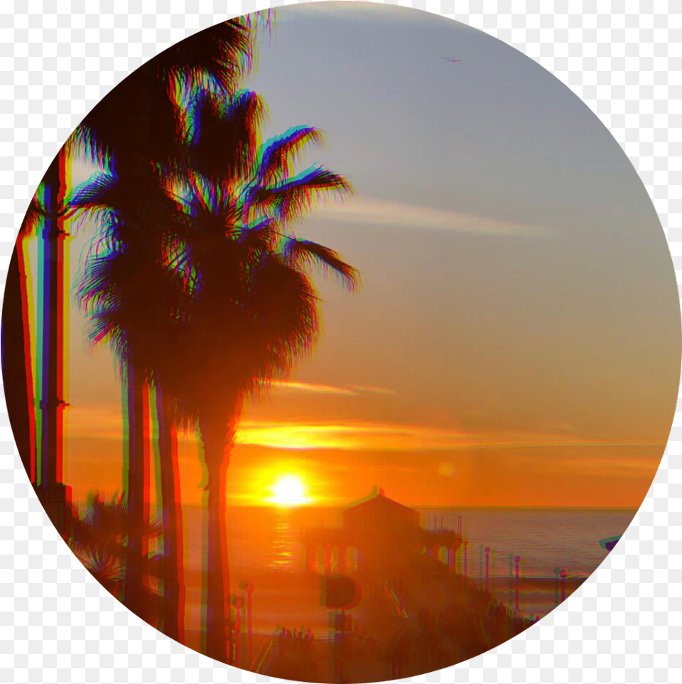 Beach Sunset Background Circle Beach Background Circle, Nature, Outdoors, Palm Tree, Photography Png Image