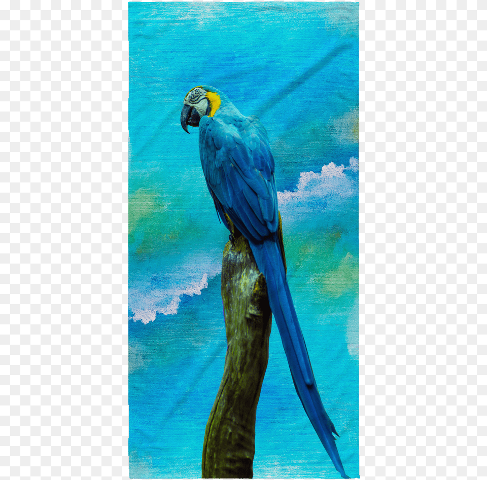 Beach Towel Parrot Beach, Animal, Bird, Macaw Png Image