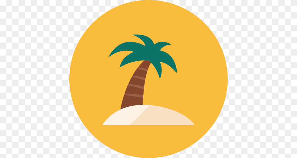 Beach Pictures, Tree, Plant, Palm Tree, Leaf Free Transparent Png