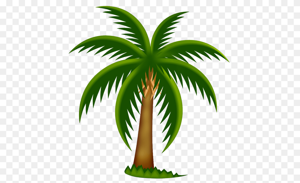 Beach Tree Cliparts, Palm Tree, Plant, Vegetation Free Png