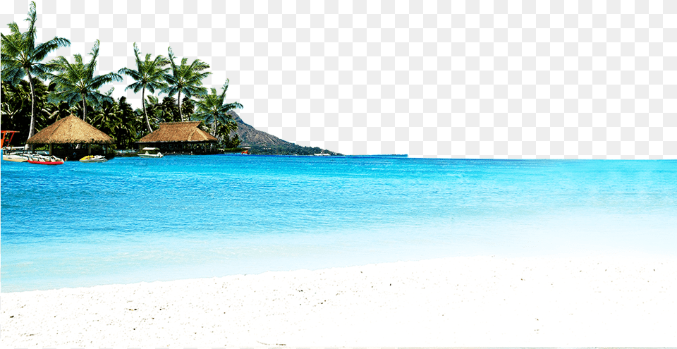 Beach With Huts And Coconut Palms Caribbean, Water, Tropical, Summer, Shoreline Png Image