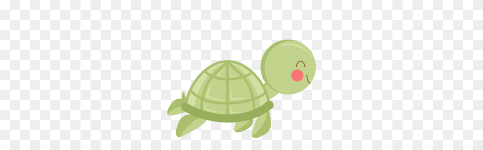 Beachocean, Green, Animal Png Image