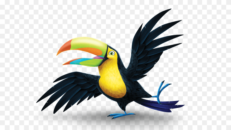 Beacon, Animal, Beak, Bird, Toucan Png Image