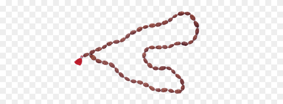 Bead, Accessories, Bead Necklace, Jewelry, Necklace Png Image