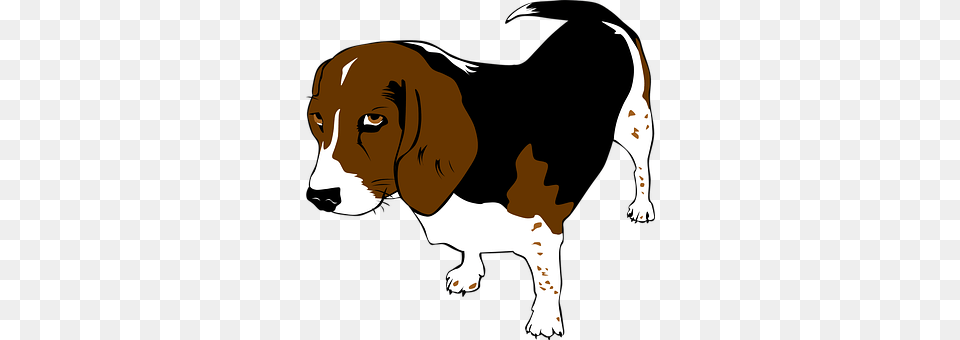 Beagle Hound, Mammal, Pet, Dog Free Png