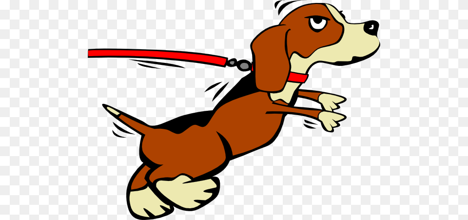 Beagle Big Leash Clip Art, Hound, Animal, Pet, Canine Free Png