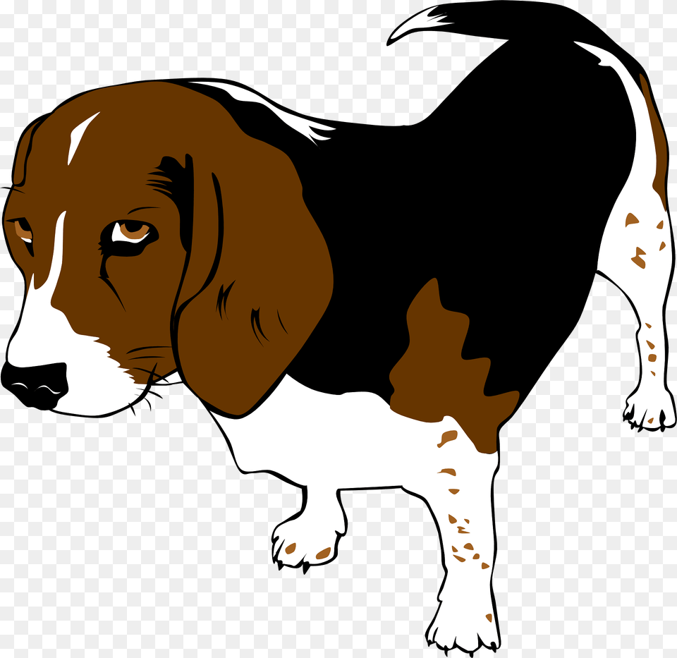 Beagle Clipart, Animal, Mammal, Hound, Pet Png