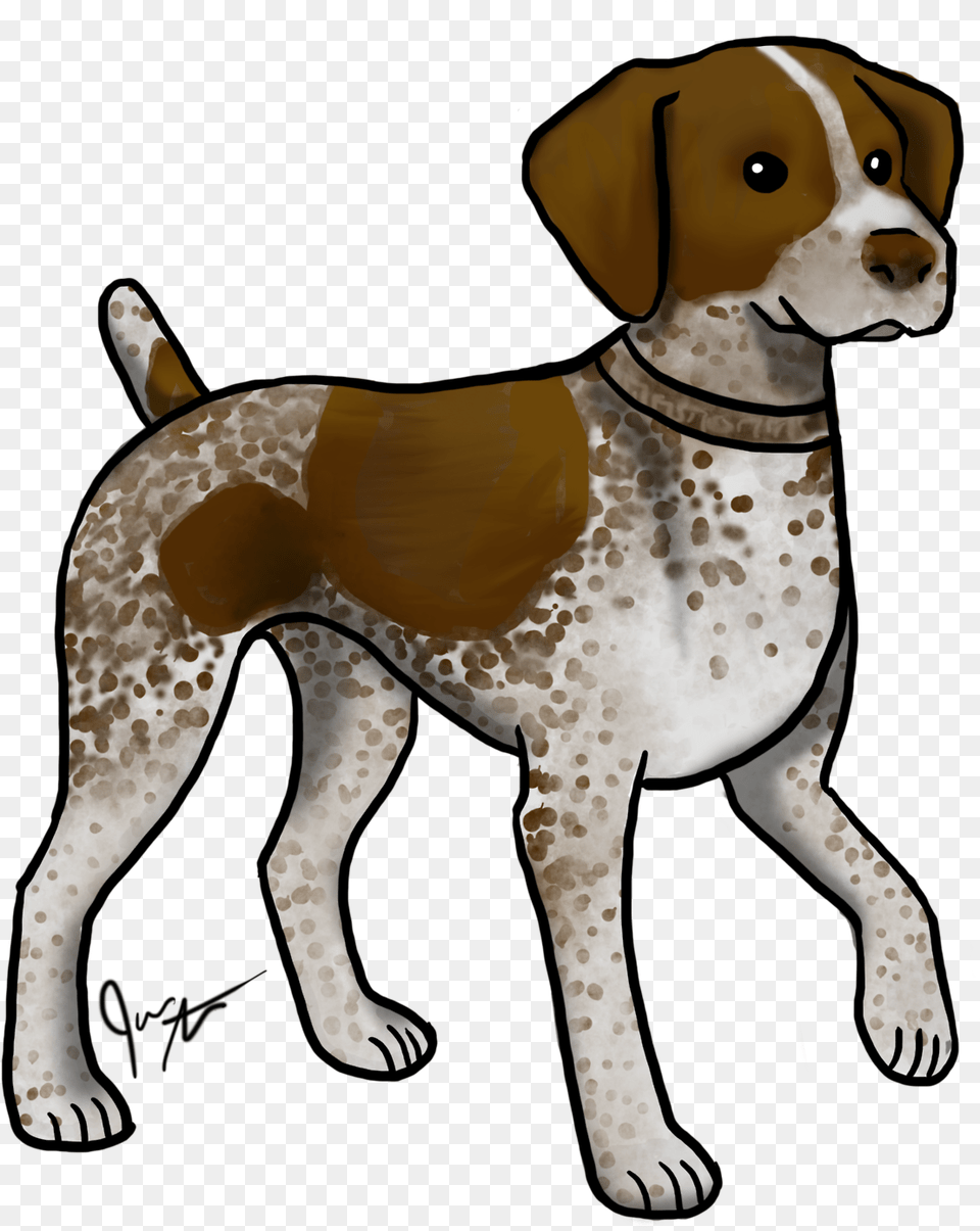 Beagle Clipart Cute German Shorthaired Pointer Stickers, Animal, Canine, Dog, Mammal Png Image