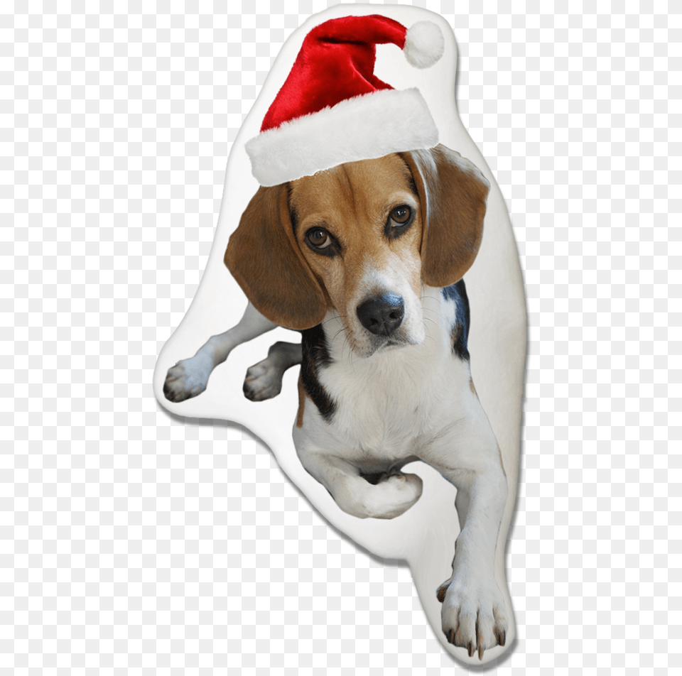 Beagle Dog Christmas Pillow Harrier, Animal, Canine, Hound, Mammal Free Png