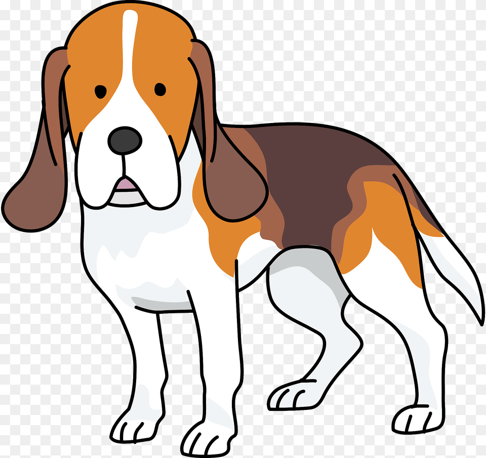 Beagle Dog Clipart, Animal, Mammal, Hound, Pet Png Image