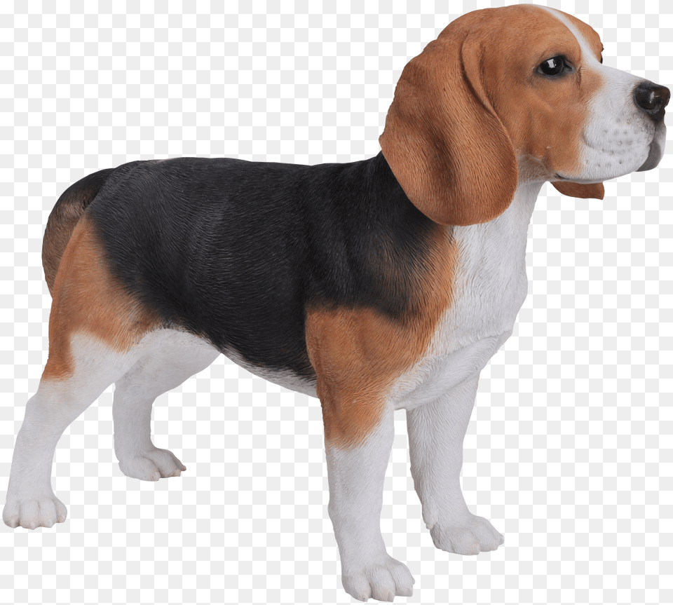 Beagle Download Image Beagle Garden Ornament, Animal, Canine, Dog, Hound Free Png