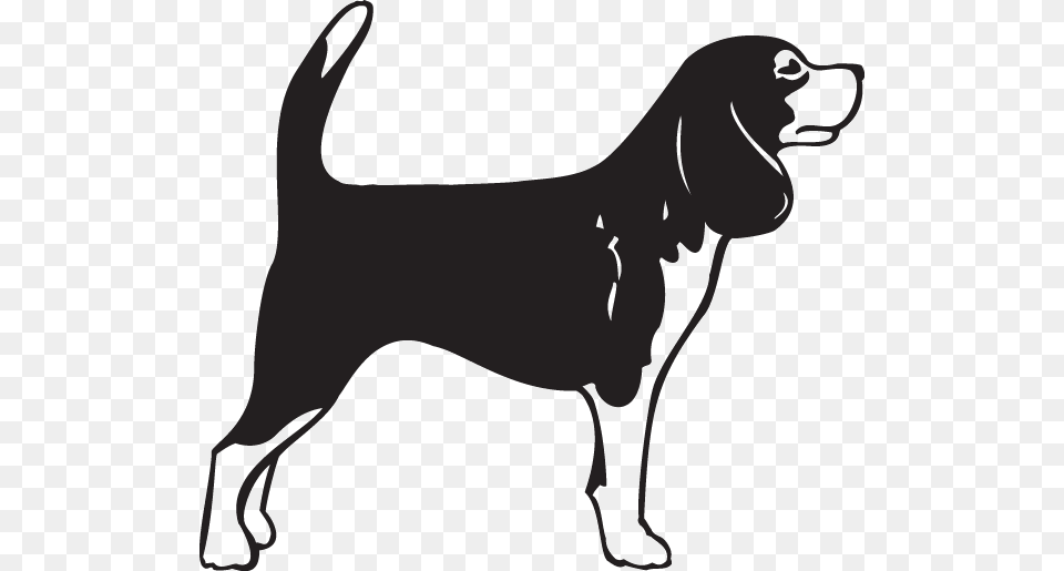 Beagle German Shorthaired Pointer Bullmastiff English Beagle Clipart Black And White, Stencil, Pet, Mammal, Hound Png