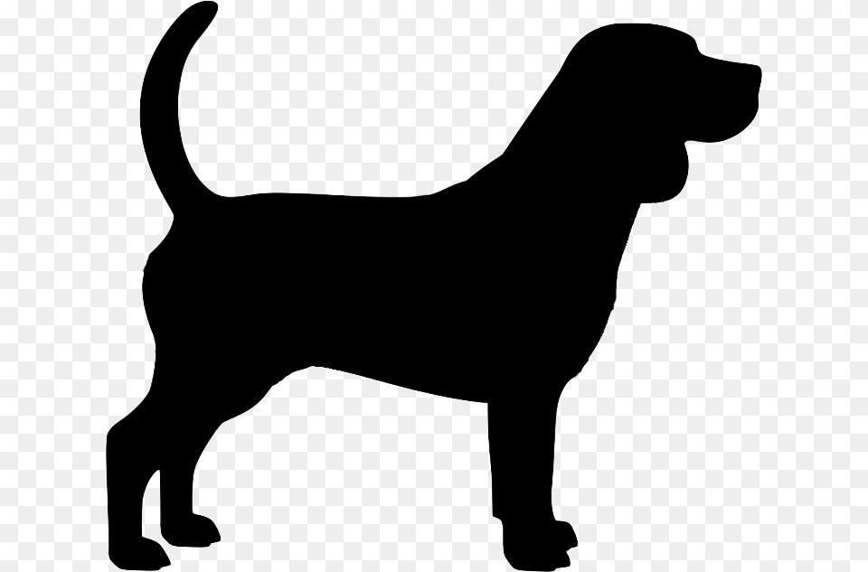 Beagle Silhouette, Animal, Canine, Dog, Labrador Retriever Free Transparent Png