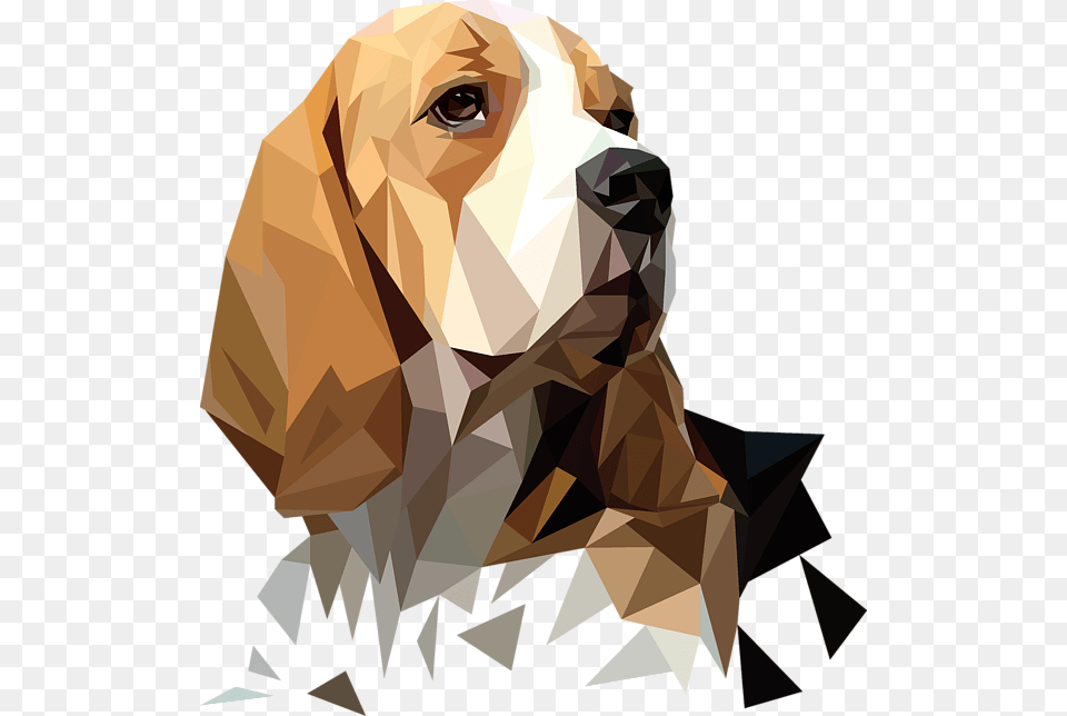 Beagle Vector, Animal, Mammal, Hound, Pet Png Image