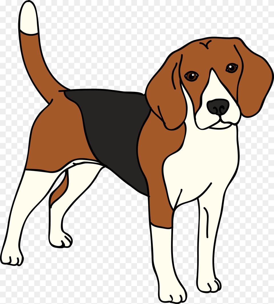 Beagle Vector Dog Beagle Clipart, Animal, Canine, Hound, Mammal Png