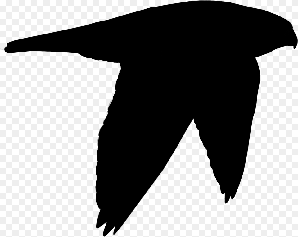 Beak Clip Art Black Bird Silhouette Illustration, Gray Free Png Download
