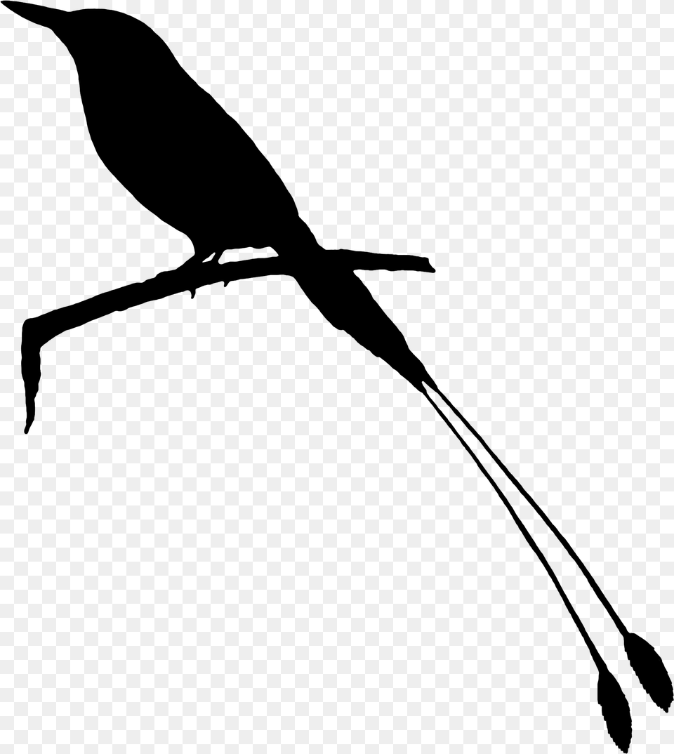 Beak Clip Art Fauna Feather Silhouette Raven, Gray Png Image
