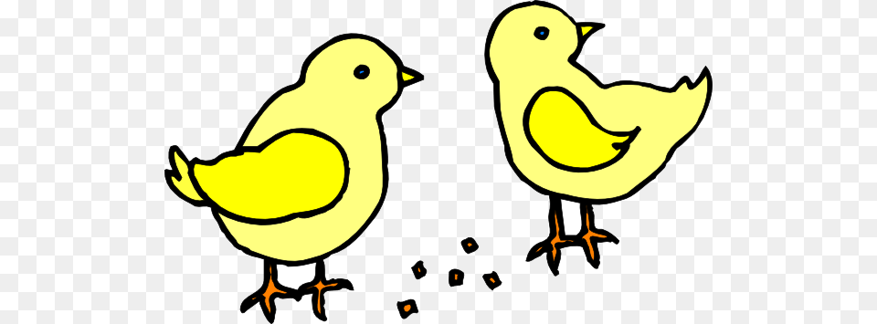 Beak Clipart Chick, Animal, Bird Free Transparent Png