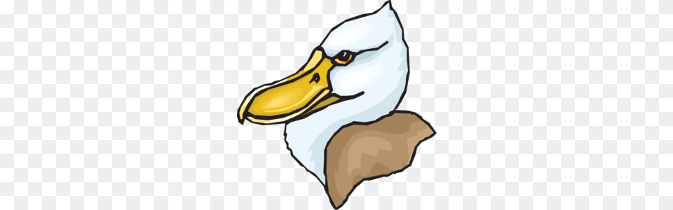 Beak Clipart Duck, Animal, Bird, Person Png