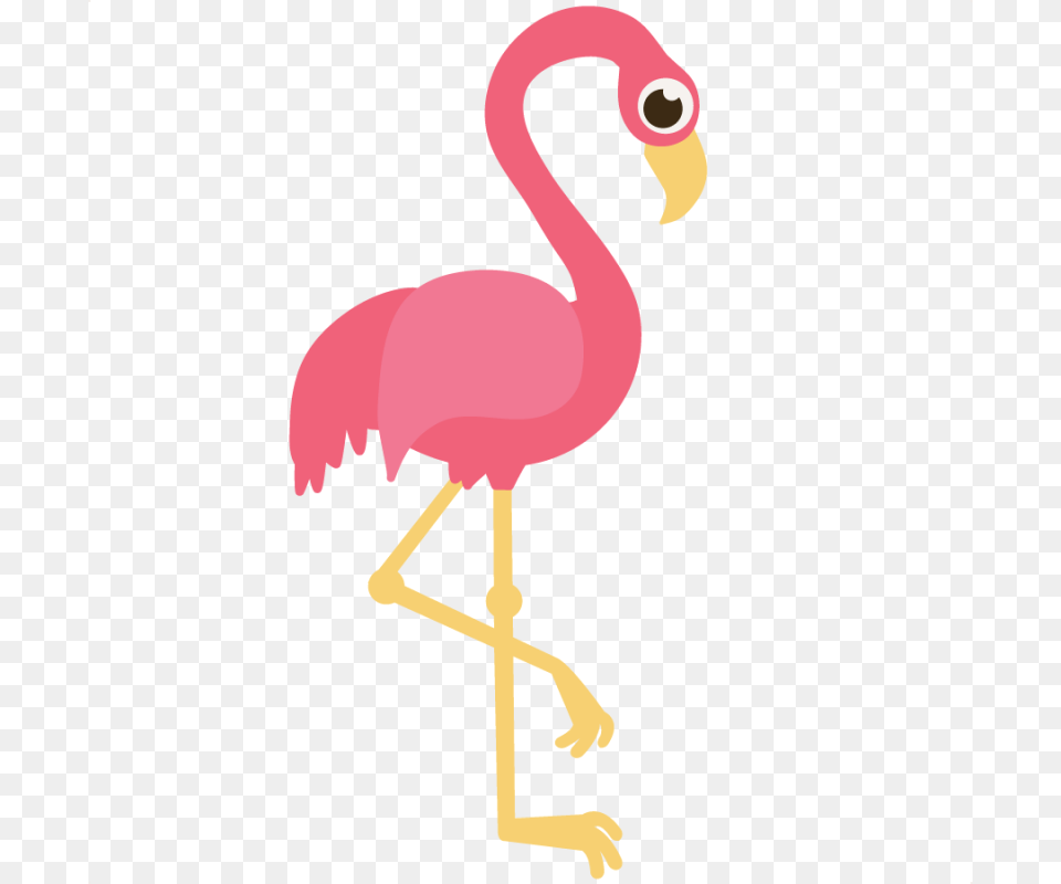 Beak Clipart Flamingo, Animal, Bird Free Transparent Png