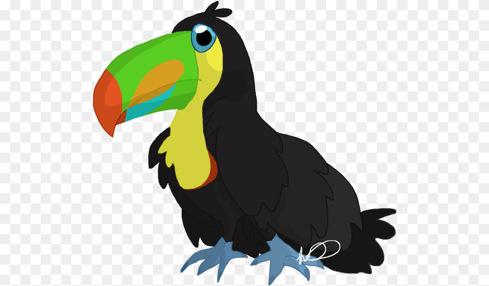 Beak Clipart Toucan Bird Drawing Transprent Free, Animal Png Image